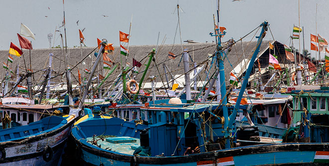 Hexa Natural Proteins home