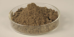 Hexa Natural Proteins Fish Meal