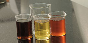 Hexa Natural Proteins Fish Oil